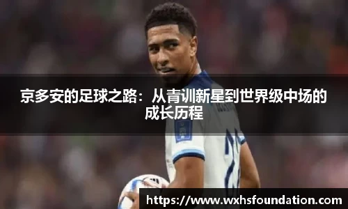 京多安的足球之路：从青训新星到世界级中场的成长历程